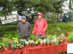 Friends of Barnhill Rock Garden plant stall