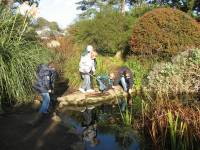 Monifieth cub scouts pond dipping with Michael Laird