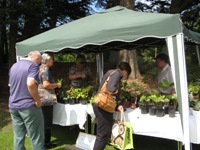 Friends Plant stall at the Gala