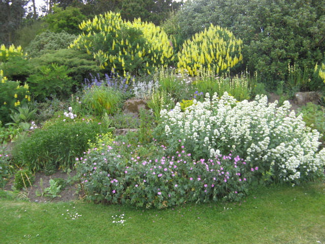 2015 Summer in the Barnhill Rock Garden
