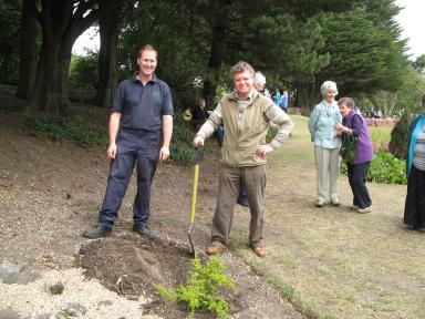 Scree bed gala day planting