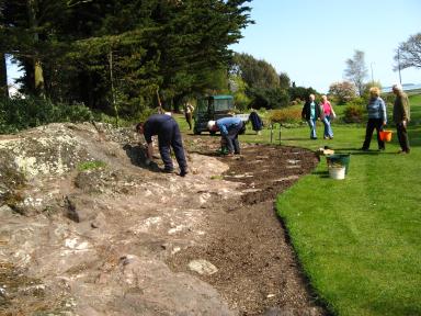 Scree bed planting