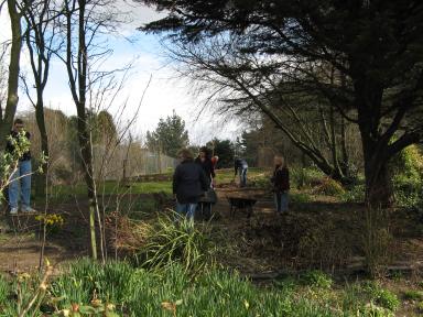 Inland revenue staff at work in the woodland area